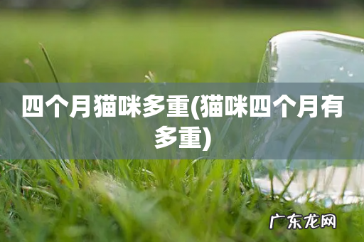 猫咪四个月有多重 四个月猫咪多重