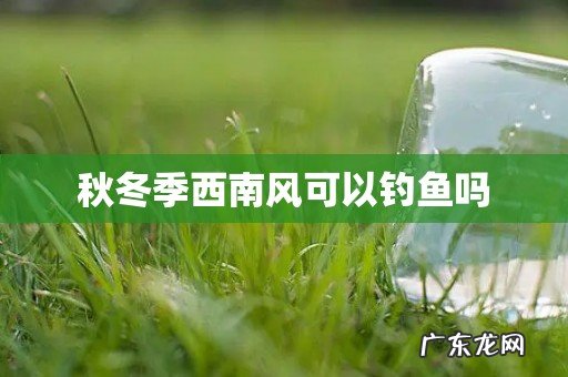 秋冬季西南风可以钓鱼吗