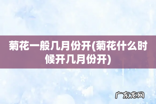 菊花什么时候开几月份开 菊花一般几月份开