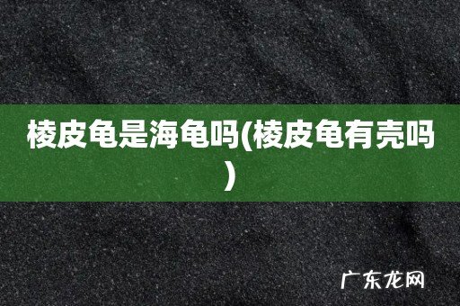棱皮龟有壳吗 棱皮龟是海龟吗