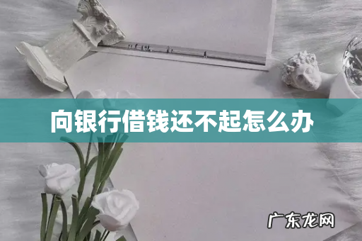向银行借钱还不起怎么办