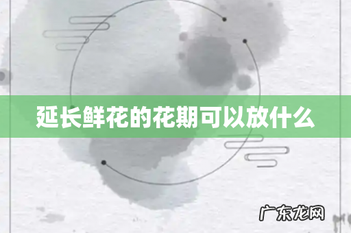 延长鲜花的花期可以放什么