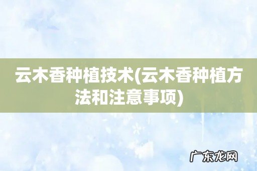 云木香种植方法和注意事项 云木香种植技术