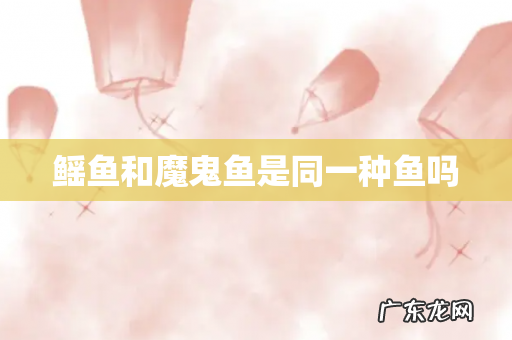 鳐鱼和魔鬼鱼是同一种鱼吗
