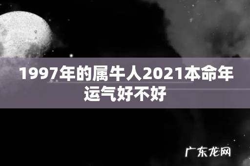 1997年的属牛人2021本命年运气好不好