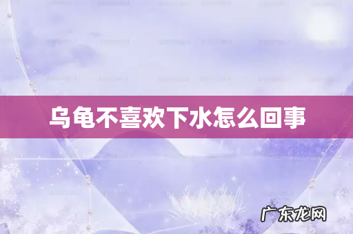 乌龟不喜欢下水怎么回事