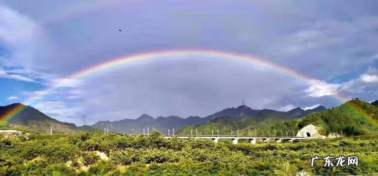 鸡冠花能在室内养吗 鸡冠花能在室内养吗风水