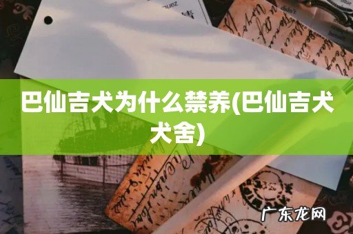 巴仙吉犬犬舍 巴仙吉犬为什么禁养