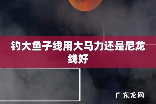 钓大鱼子线用大马力还是尼龙线好