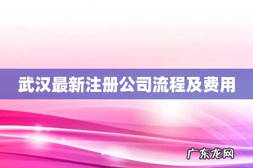 武汉最新注册公司流程及费用