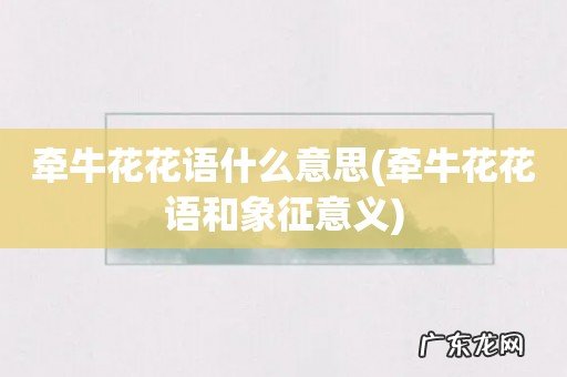 牵牛花花语和象征意义 牵牛花花语什么意思