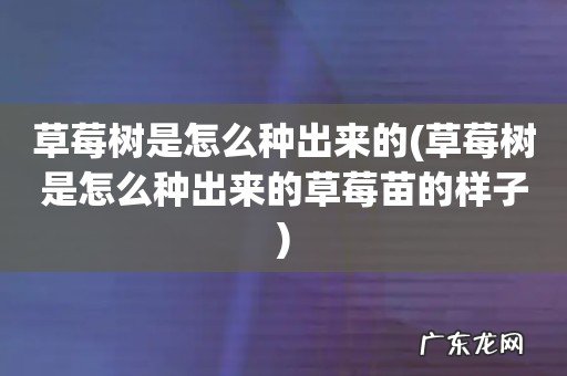 草莓树是怎么种出来的草莓苗的样子 草莓树是怎么种出来的