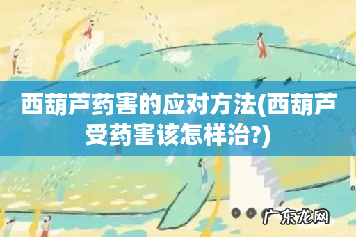 西葫芦受药害该怎样治? 西葫芦药害的应对方法