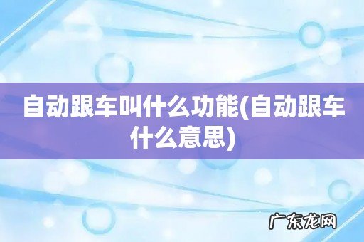 自动跟车什么意思 自动跟车叫什么功能