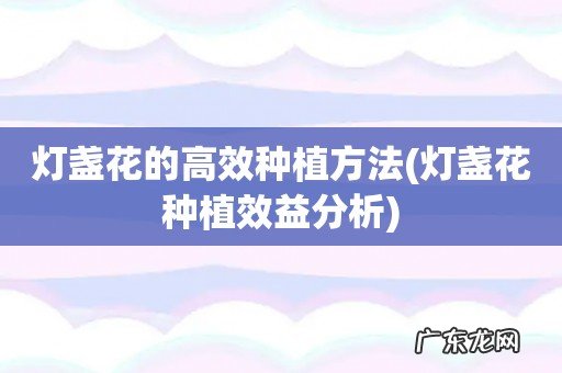 灯盏花种植效益分析 灯盏花的高效种植方法