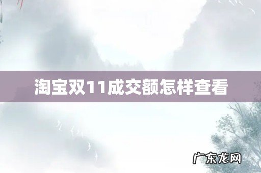 淘宝双11成交额怎样查看