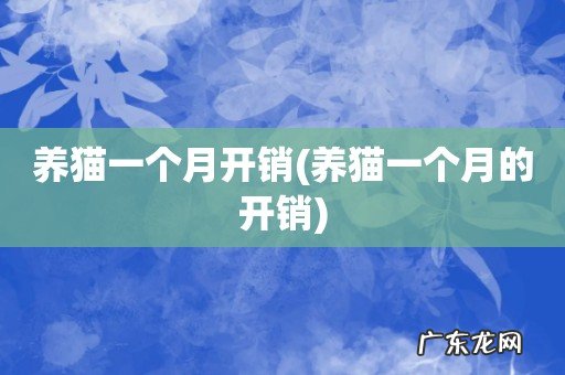 养猫一个月的开销 养猫一个月开销