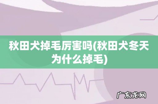 秋田犬冬天为什么掉毛 秋田犬掉毛厉害吗
