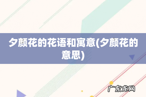 夕颜花的意思 夕颜花的花语和寓意