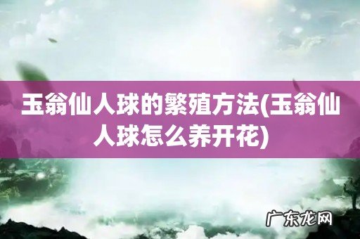 玉翁仙人球怎么养开花 玉翁仙人球的繁殖方法