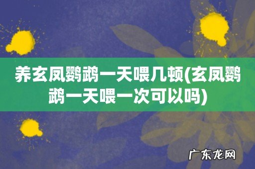 玄凤鹦鹉一天喂一次可以吗 养玄凤鹦鹉一天喂几顿