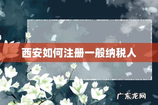 西安如何注册一般纳税人
