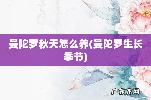 曼陀罗生长季节 曼陀罗秋天怎么养