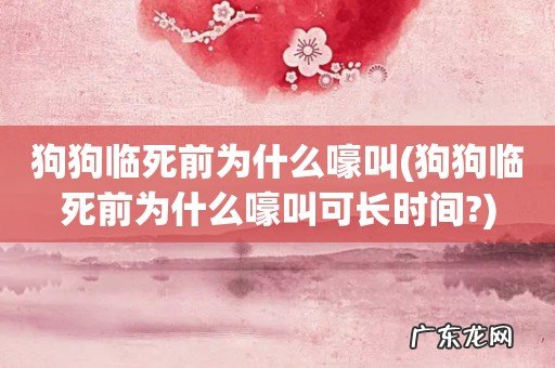 狗狗临死前为什么嚎叫可长时间? 狗狗临死前为什么嚎叫