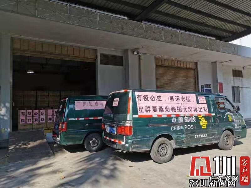 广州星群夏桑菊 星群夏桑菊颗粒