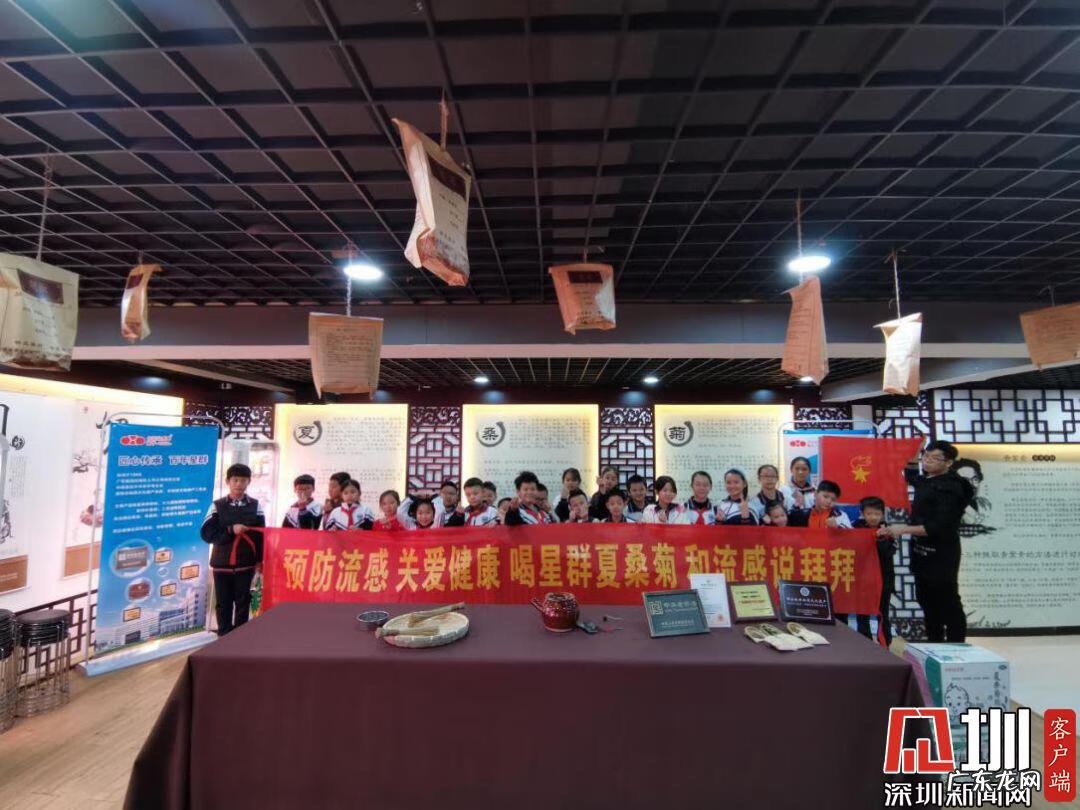 广州星群夏桑菊 星群夏桑菊颗粒