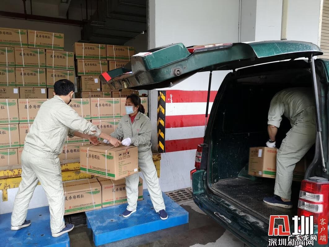 广州星群夏桑菊 星群夏桑菊颗粒