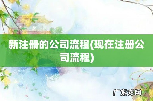 现在注册公司流程 新注册的公司流程