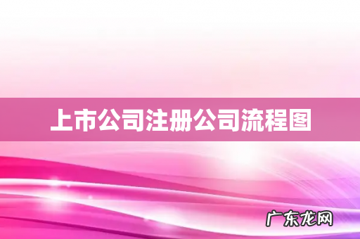 上市公司注册公司流程图