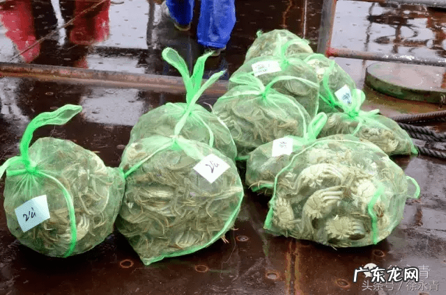 螃蟹风水宝地 螃蟹捕鱼形风水宝地
