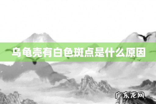 乌龟壳有白色斑点是什么原因