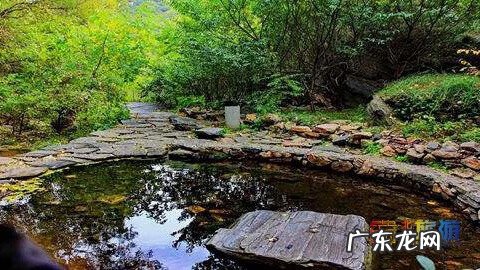 蜻蜓点水风水宝地 青蛙跳潭风水宝地