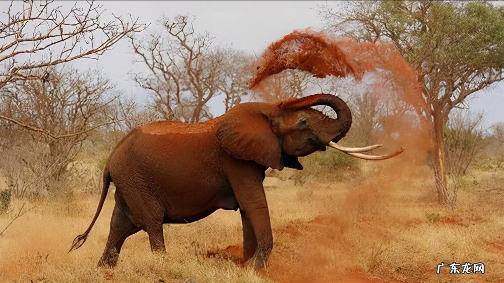 坟应该怎么修 修风水坟真有用吗