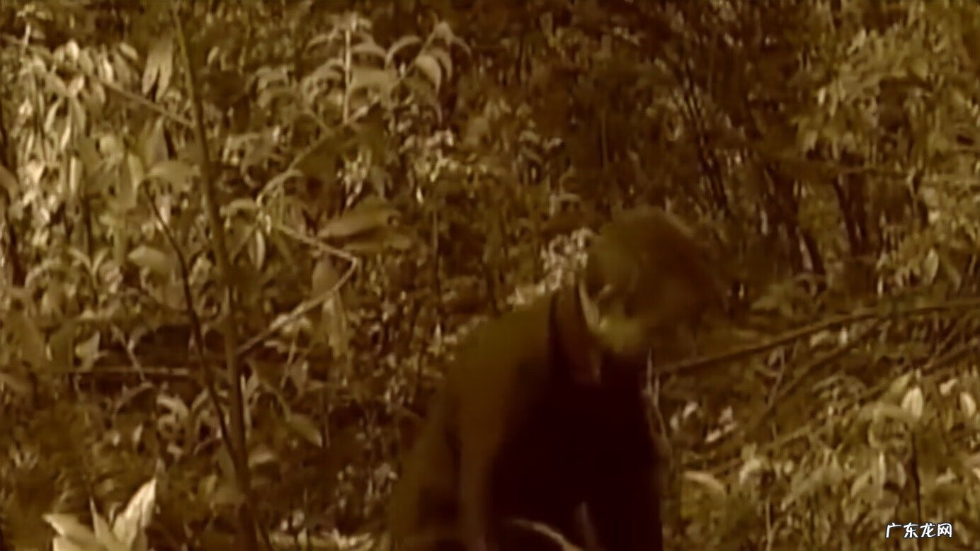 坟应该怎么修 修风水坟真有用吗