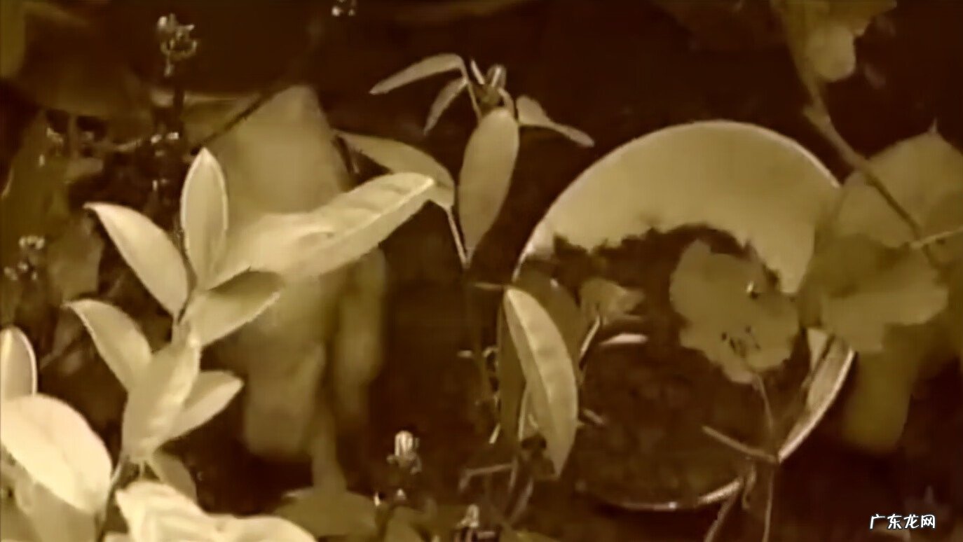 坟应该怎么修 修风水坟真有用吗