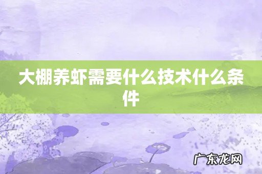 大棚养虾需要什么技术什么条件