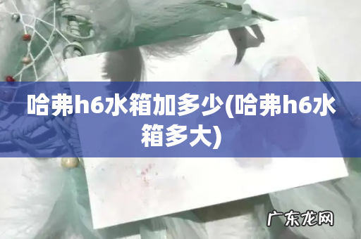 哈弗h6水箱多大 哈弗h6水箱加多少