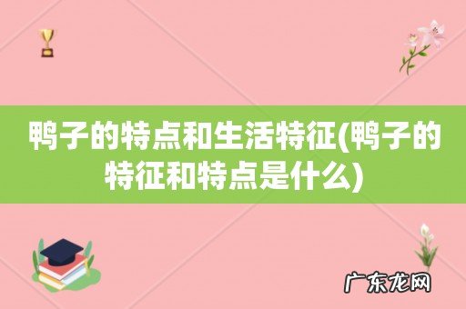 鸭子的特征和特点是什么 鸭子的特点和生活特征