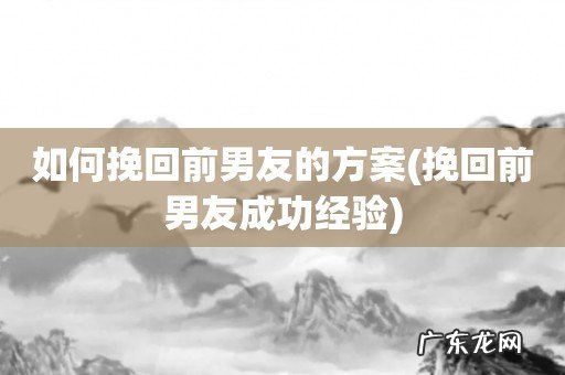 挽回前男友成功经验 如何挽回前男友的方案