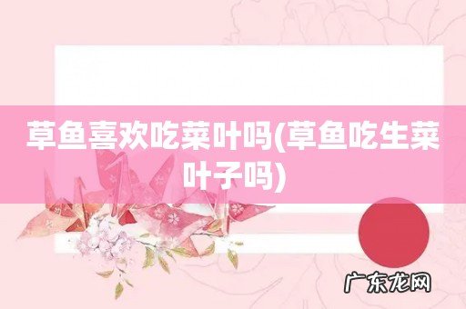 草鱼吃生菜叶子吗 草鱼喜欢吃菜叶吗
