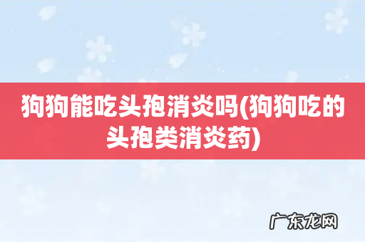 狗狗吃的头孢类消炎药 狗狗能吃头孢消炎吗