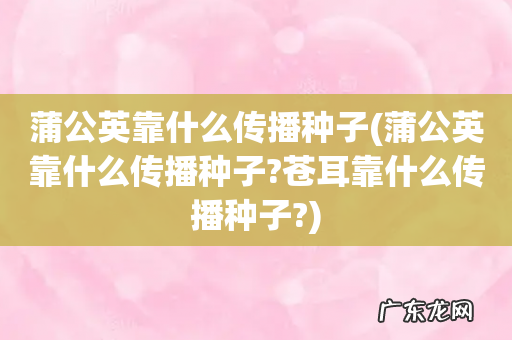 蒲公英靠什么传播种子?苍耳靠什么传播种子? 蒲公英靠什么传播种子