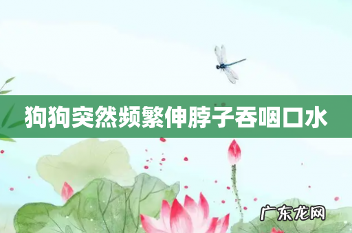 狗狗突然频繁伸脖子吞咽口水