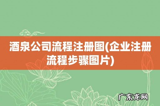 企业注册流程步骤图片 酒泉公司流程注册图