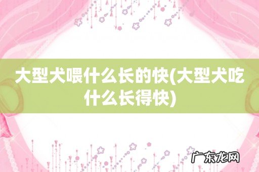 大型犬吃什么长得快 大型犬喂什么长的快