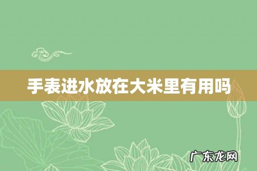 手表进水放在大米里有用吗